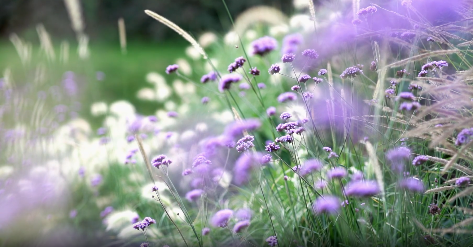 Un accompagnement pour tous